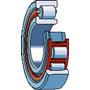 NJ 203 ECP/C3 SKF SKF0016160