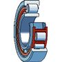 NU 204 ECP SKF SKF0008343