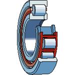 NUP 220 ECP SKF SKF0002521